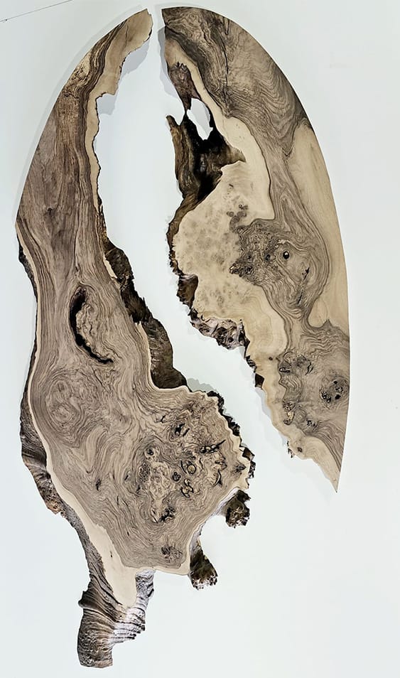 Inspiratie-Colectia-Laguna-3